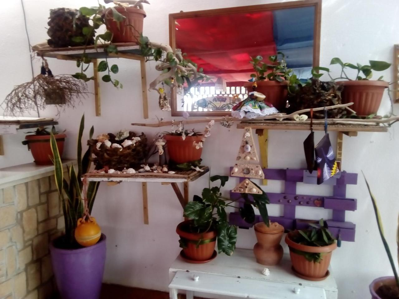 سال راي Residence A Paz المظهر الخارجي الصورة